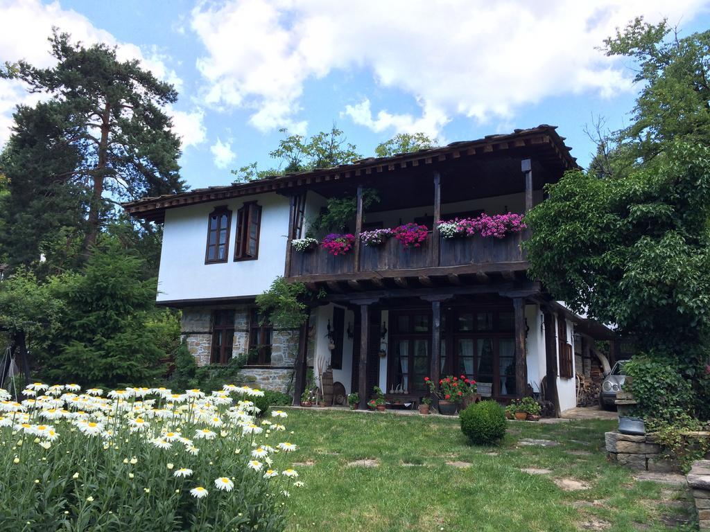 Stefanina Guesthouse Boženci Exteriér fotografie