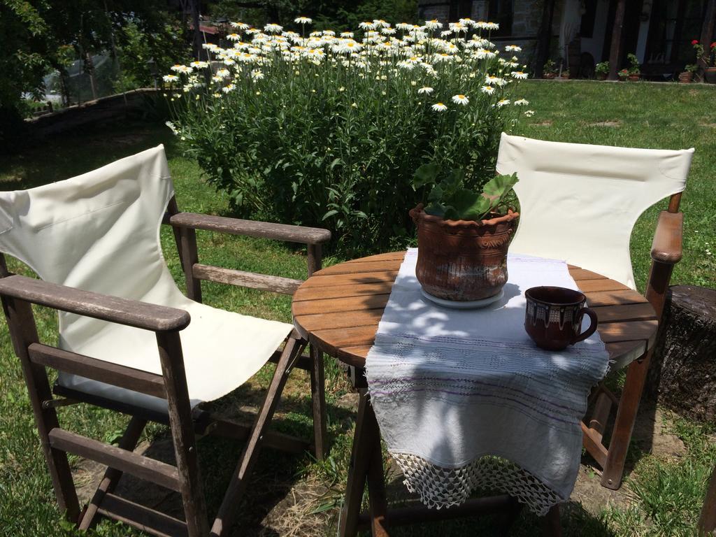 Stefanina Guesthouse Boženci Exteriér fotografie