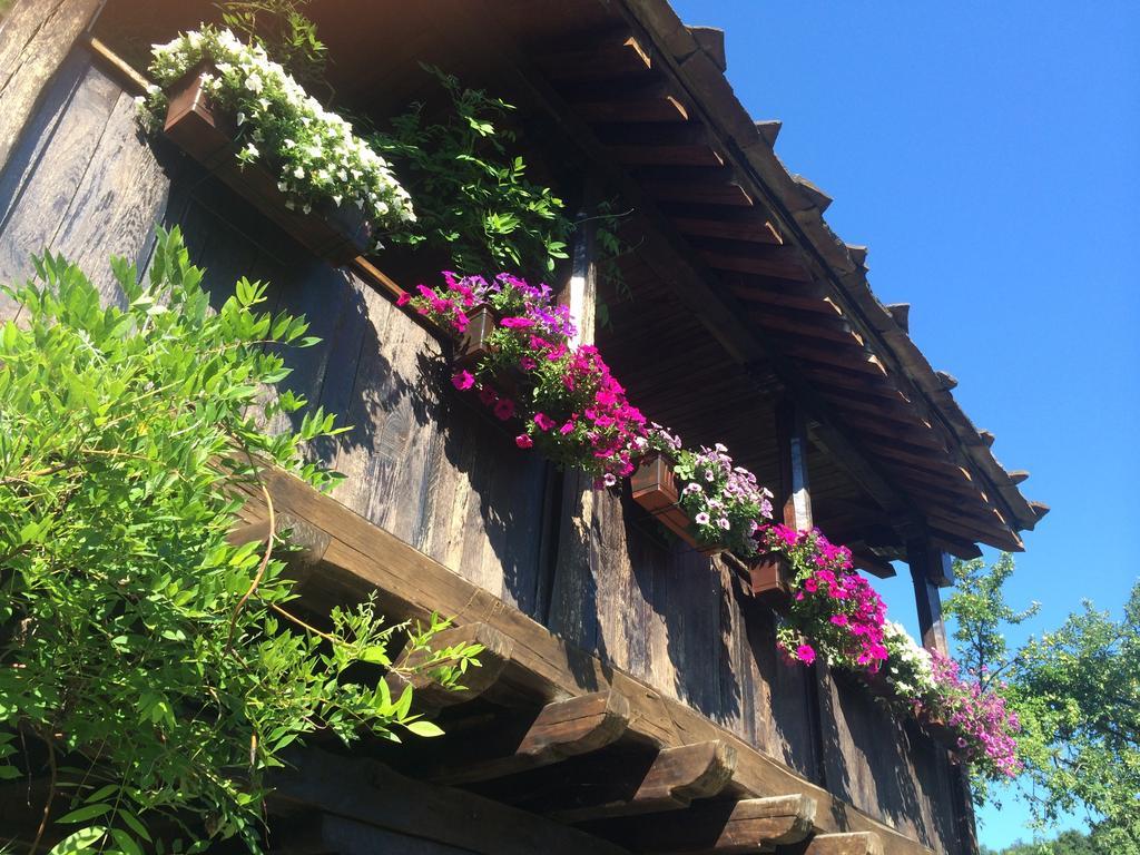 Stefanina Guesthouse Boženci Exteriér fotografie