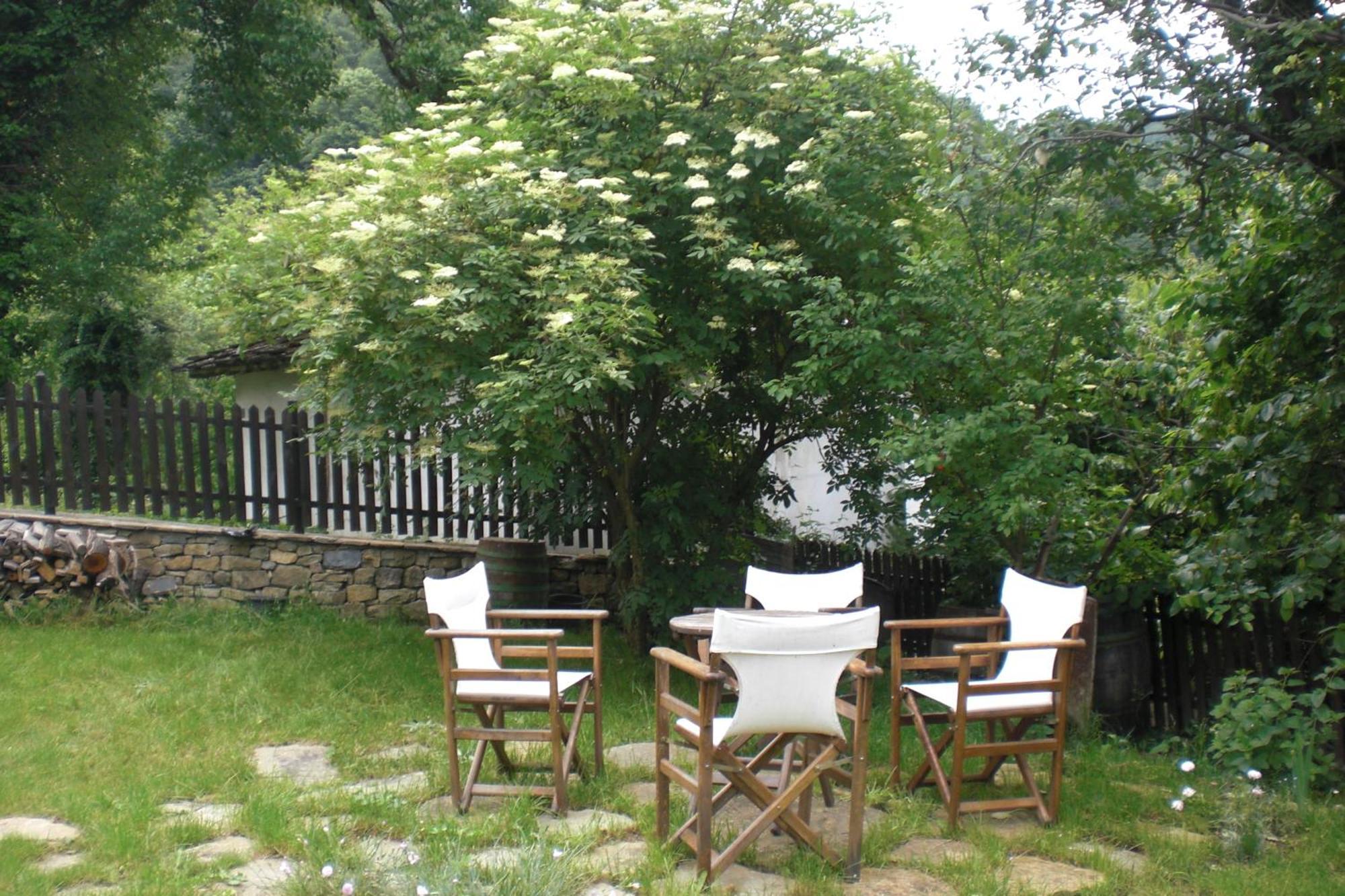 Stefanina Guesthouse Boženci Exteriér fotografie
