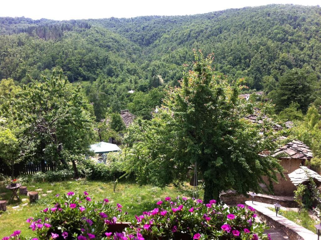 Stefanina Guesthouse Boženci Exteriér fotografie