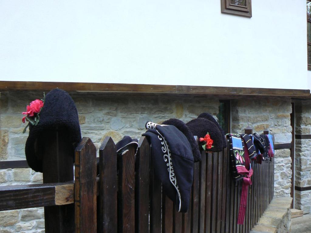 Stefanina Guesthouse Boženci Exteriér fotografie