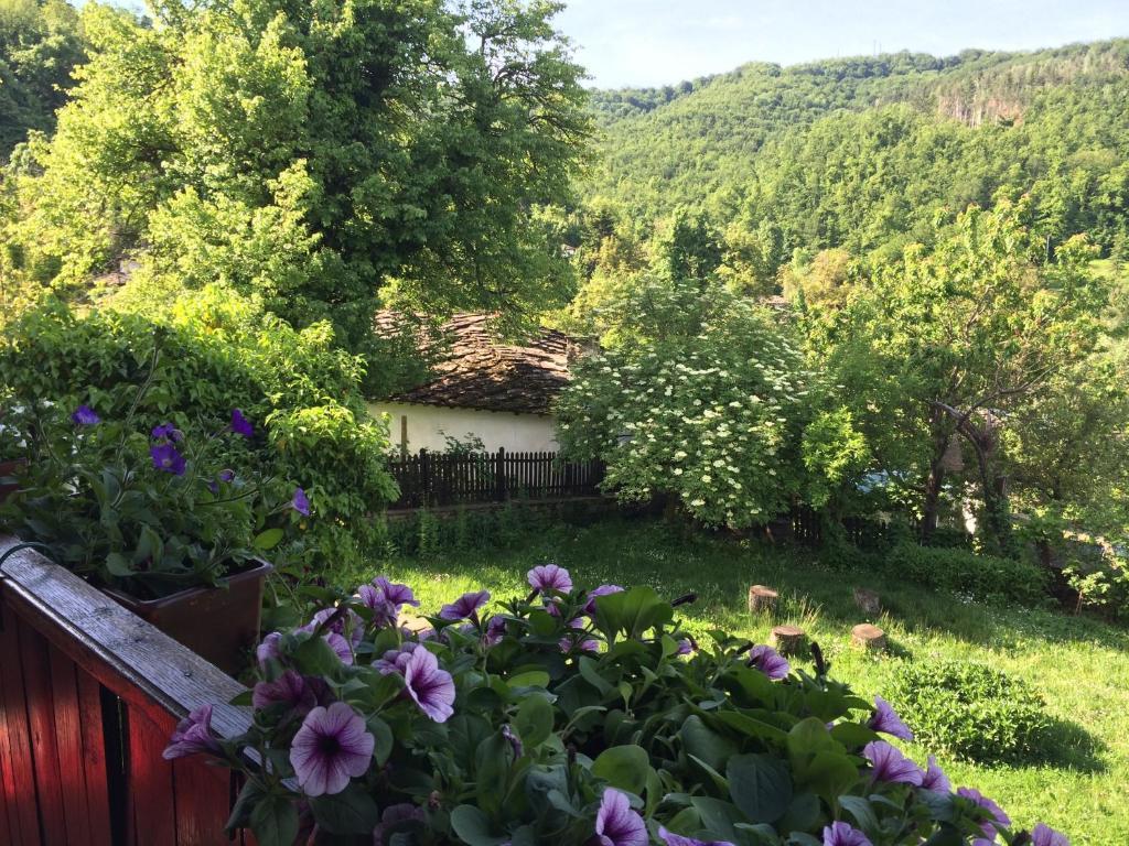 Stefanina Guesthouse Boženci Exteriér fotografie